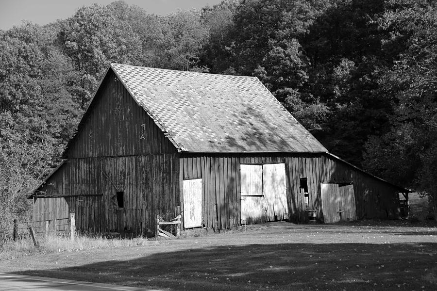 Tree Photograph - Barn in Indiana no 11 by Dwight Cook