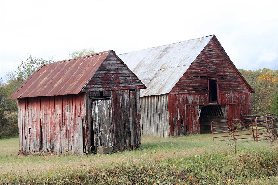 Barn Photograph - Barn in Kentucky no 100 by Dwight Cook