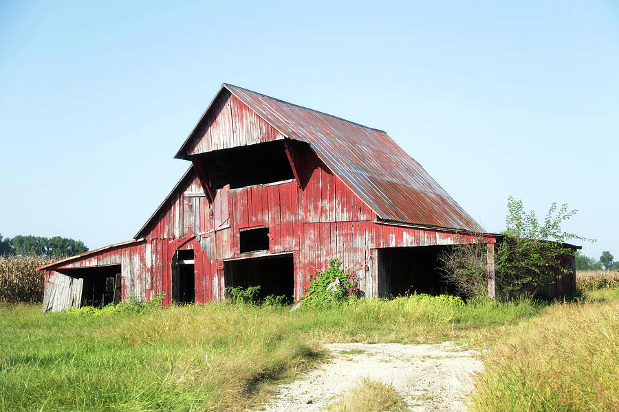 Barn In Kentucky No 103 Photograph