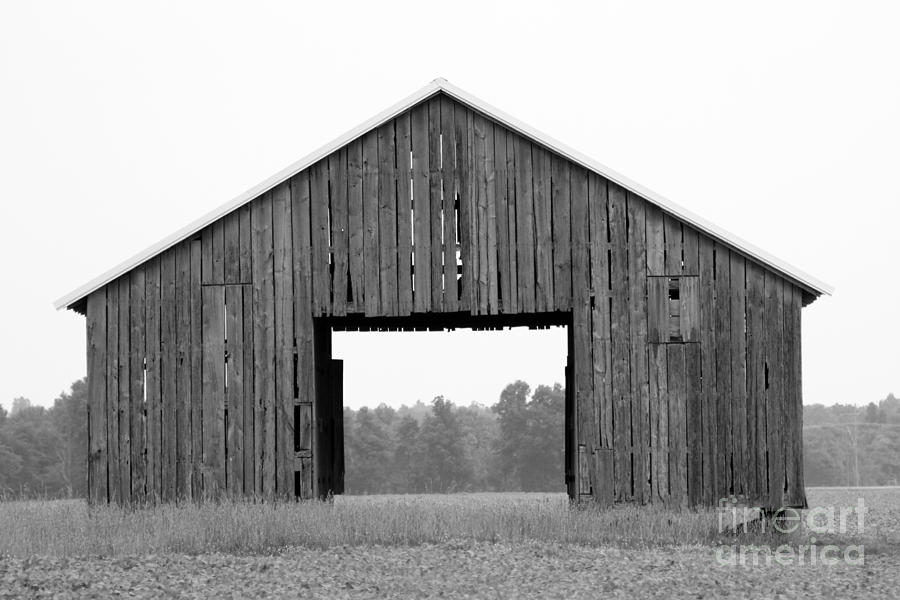 barn in Kentucky no 40 Photograph by Dwight Cook