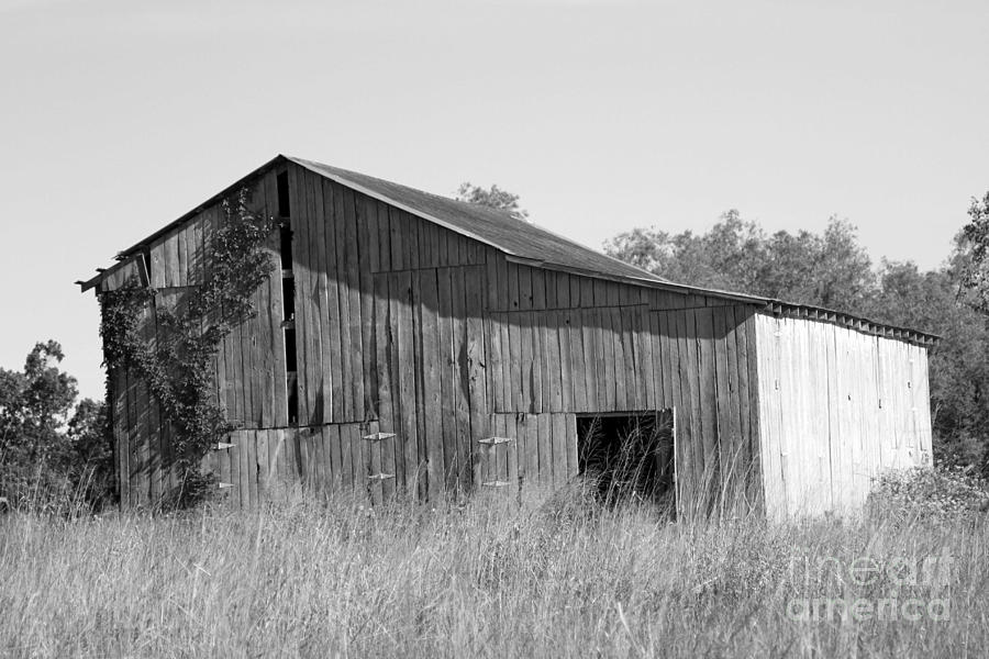 Barn Photograph - Barn in Kentucky no 63 by Dwight Cook