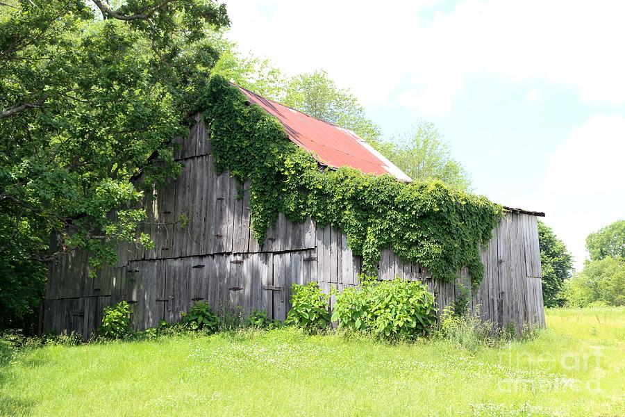 barn in Kentucky no 74 Photograph by Dwight Cook