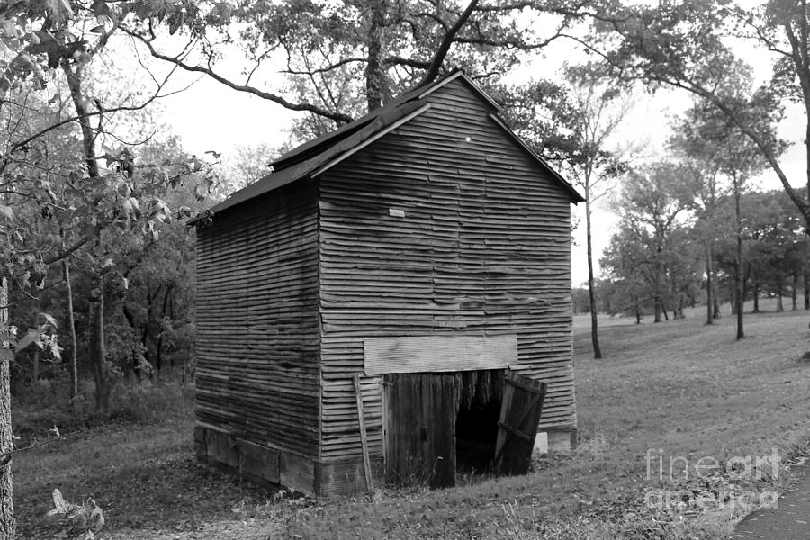Barn in Kentucky no 92 Photograph by Dwight Cook