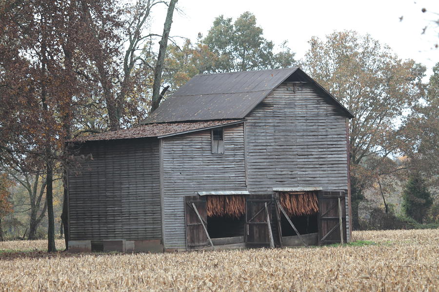 Barn Photograph - Barn in Kentucky no 99 by Dwight Cook
