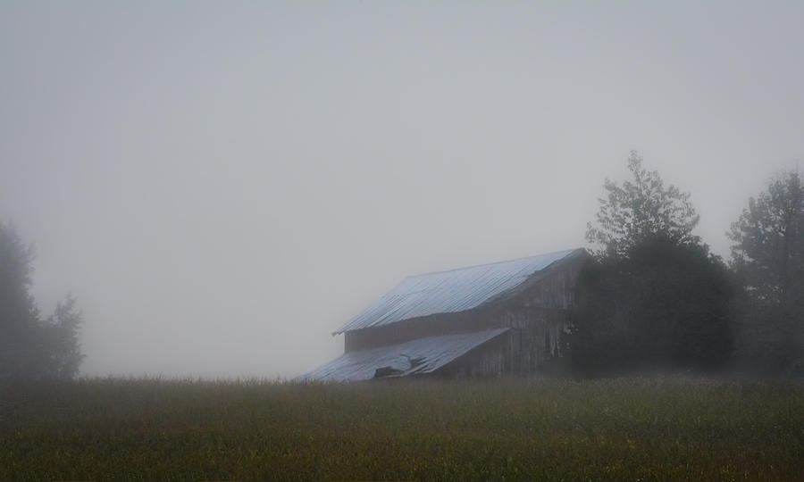 Barn in Kentucky Summer Morning Fog Photograph by Greg Jackson