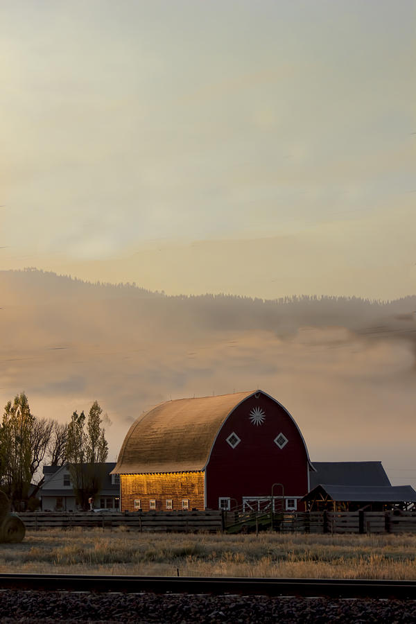 Barn in Montana Photograph by Cathy Anderson
