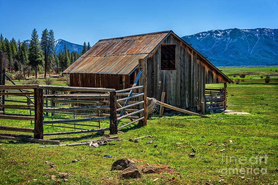 Barn in Northern California Photograph by Dianne Phelps