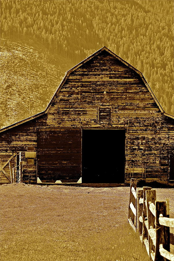 Barn in Sepia Photograph by Diana Hatcher