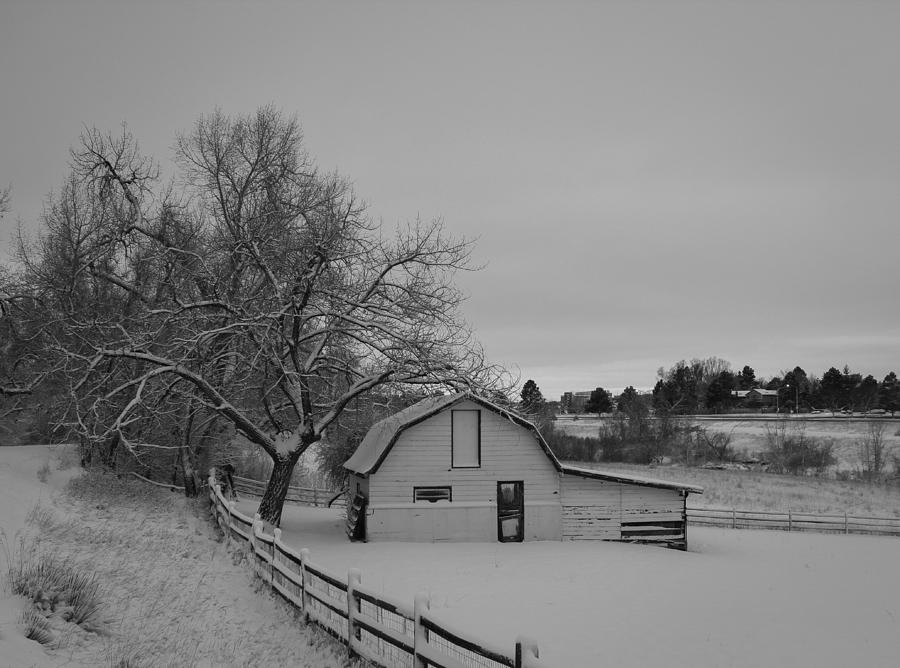 Barn In Snow Photograph by Bill Wiebesiek