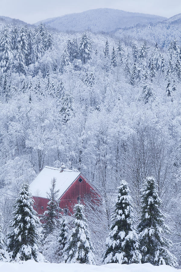Barn In Snowy Landscape Photograph by Alan L Graham