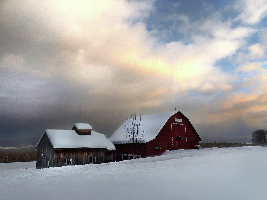 Barn in Solitude Photograph by Nancy Griswold