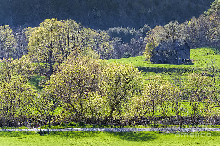 Barn In Spring Landscape Photograph by Alan L Graham