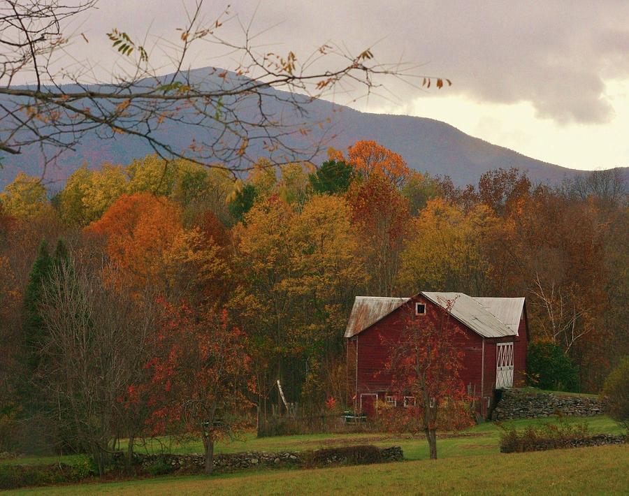 Barn in the fall Photograph by Judy Genovese