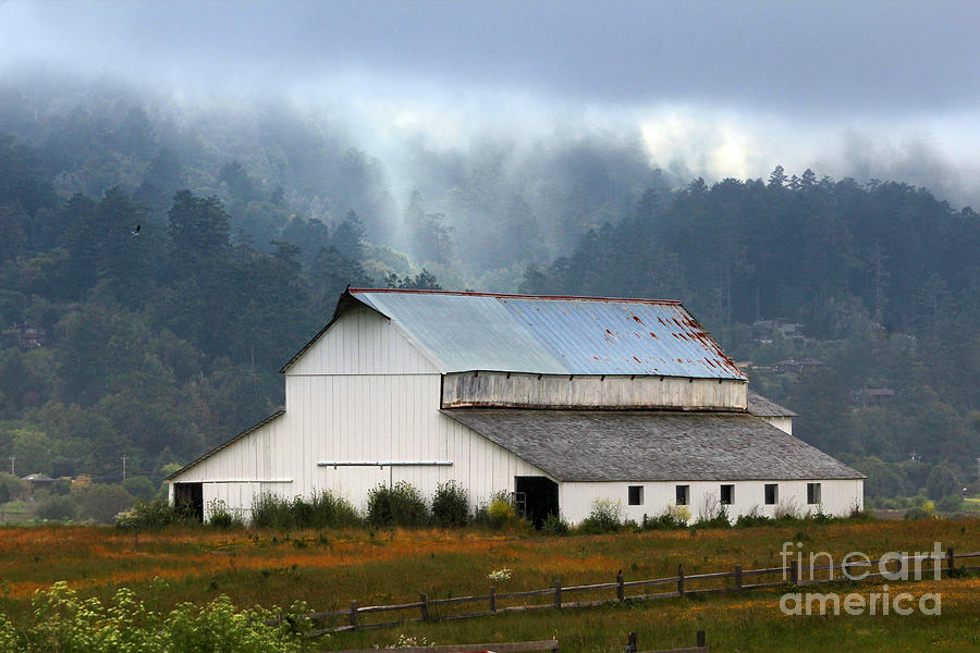 Barn in  the Fog at Point Reyes Station in Marin County Californ Photograph by Wernher Krutein