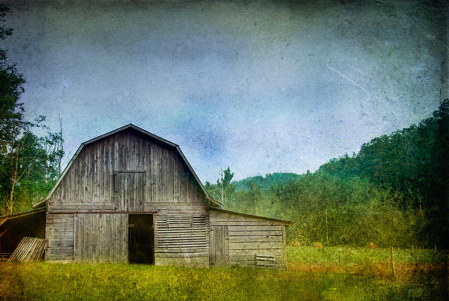 Abstract Photograph - Barn in the Hay Field by Joye Ardyn Durham