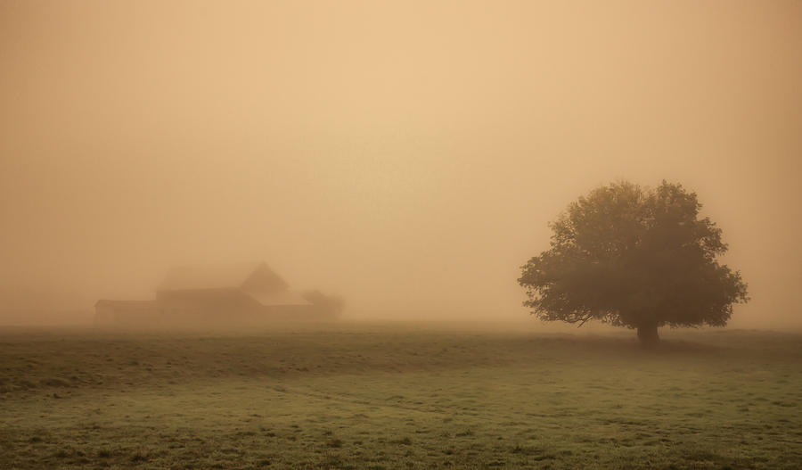 Barn in the Mist Photograph by Don Schwartz