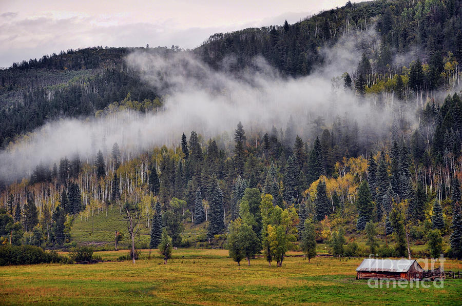 Barn in the Mist Photograph by Randy Rogers