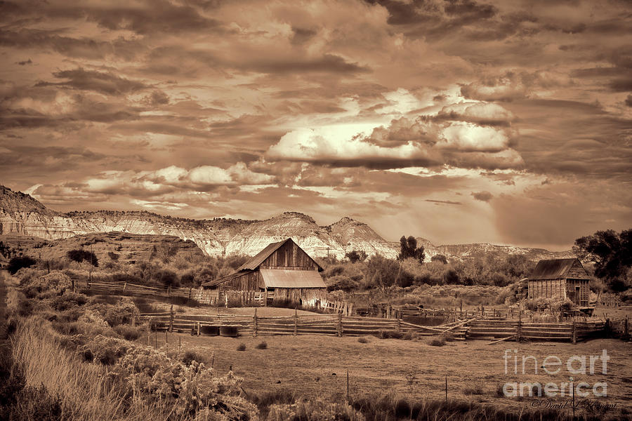 Barn in the Mountains Monotone Photograph by David Arment