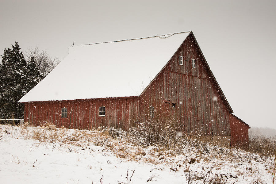 Barn in the Snow Photograph by Jay Stockhaus