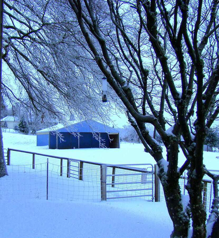 Barn in the snow Photograph by Lisa Rose Musselwhite