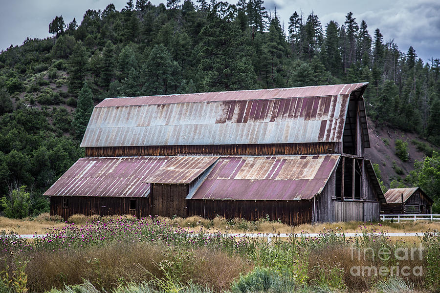 A Colorado Barn in Summer Photograph by Lynn Sprowl