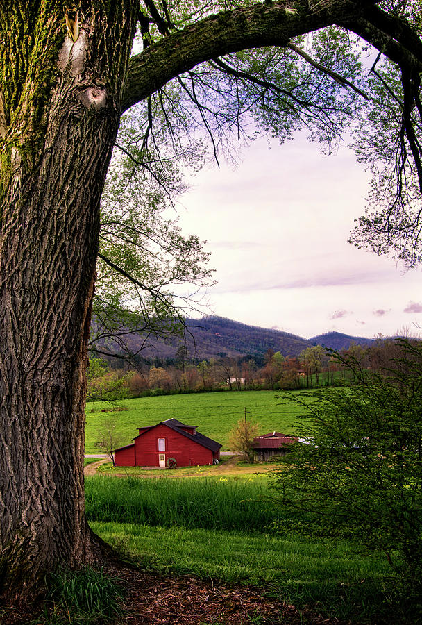 Barn In The Valley Photograph by Greg and Chrystal Mimbs