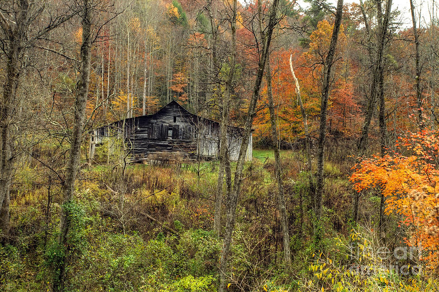 Barn In The Woods Photograph By Rick Mann