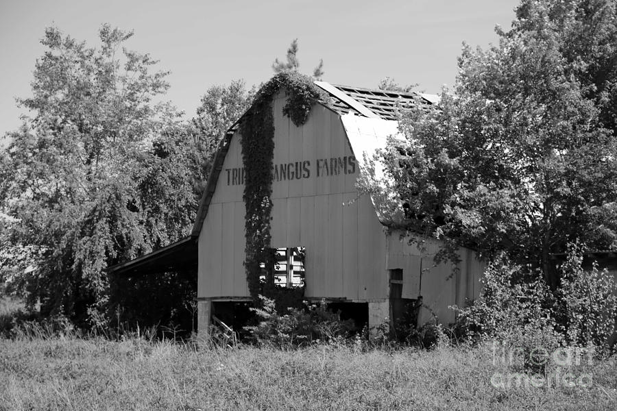 Barn Photograph - Barn in TN no 3 by Dwight Cook