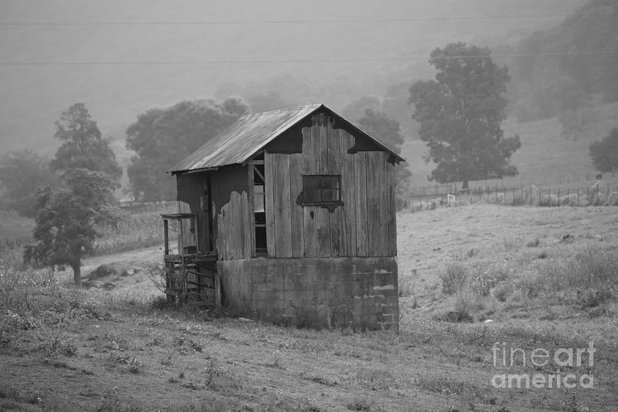 Barn In Va No 10 Photograph