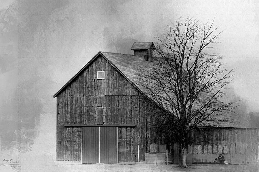 Black And White Photograph - Barn in Winter Storm by Theresa Campbell