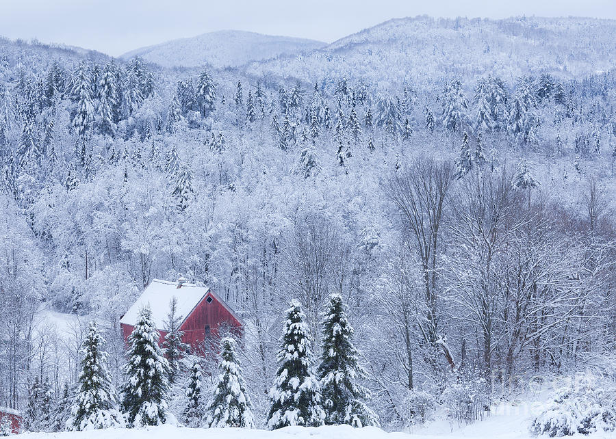 Barn In Winter Wonderland Photograph by Alan L Graham