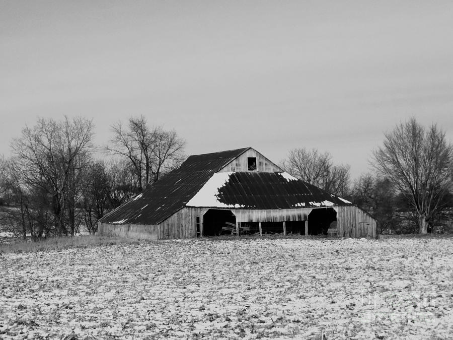 Barn  Photograph by J L Zarek