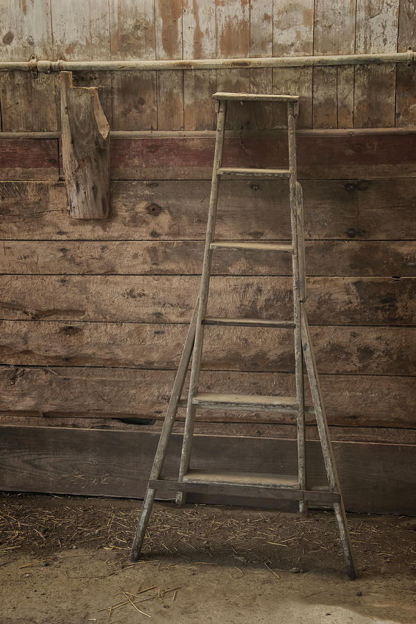 Barn Ladder Photograph by Tom Singleton
