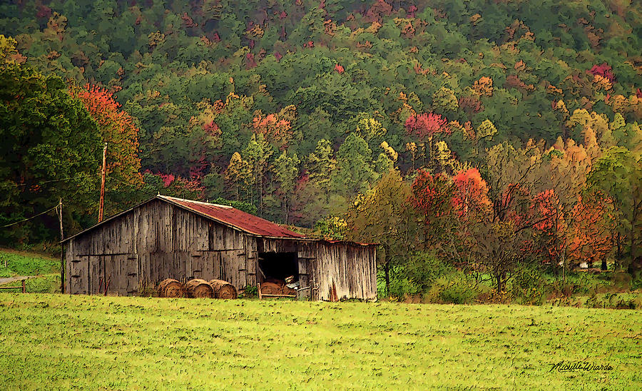 Fall Photograph - Barn North Carolina 1994 by Michelle Constantine