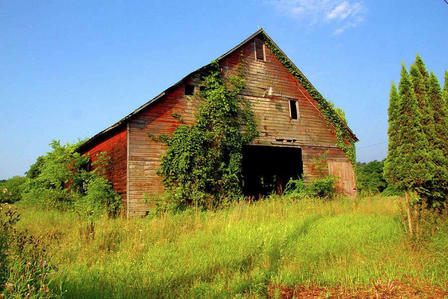 Barn on a Hill Photograph by Robert McCulloch - Fine Art America