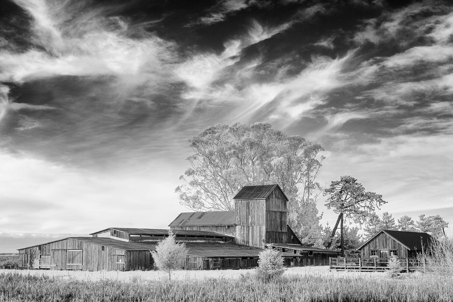 Barn on Marsh in Infrared Photograph by Greg Nyquist