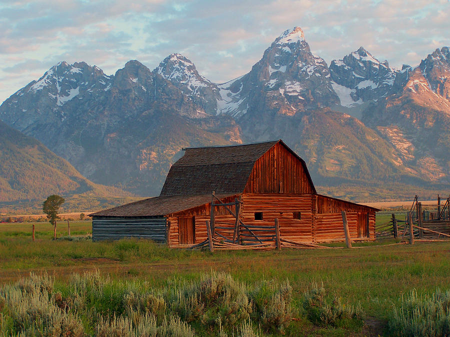 Barn on Mormon Row 2 Photograph by Vijay Sharon Govender - Fine Art America