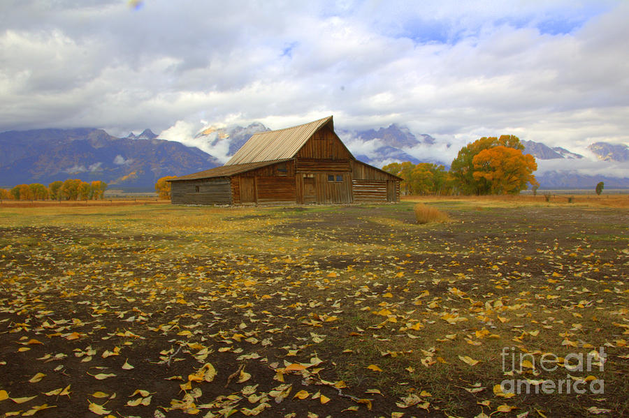 Barn on Mormon Row Wyoming by Cynthia Mask Barn on Mormon Row Wyoming by Cynthia Mask