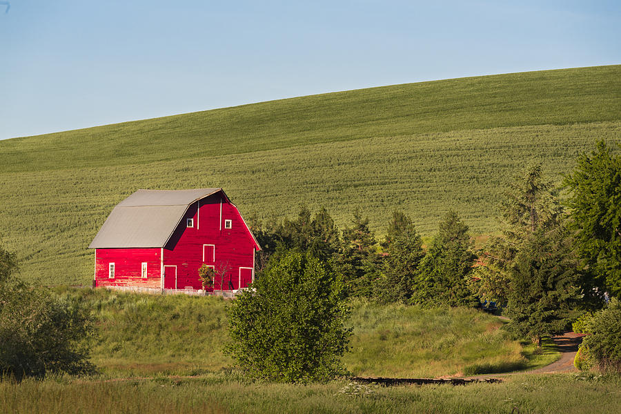 Barn on the HIll Photograph by Jon Glaser