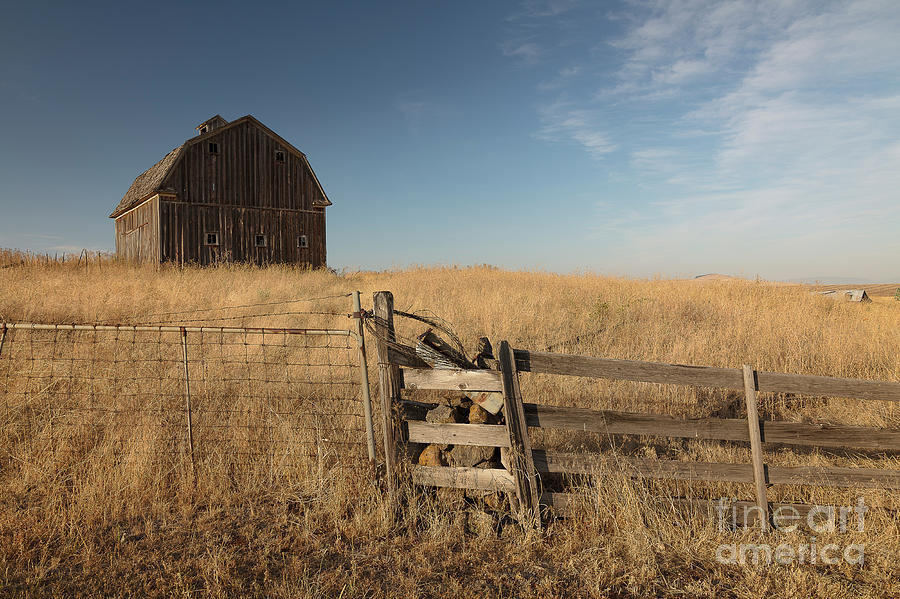 Barn on the Prairie Photograph by Idaho Scenic Images Linda Lantzy