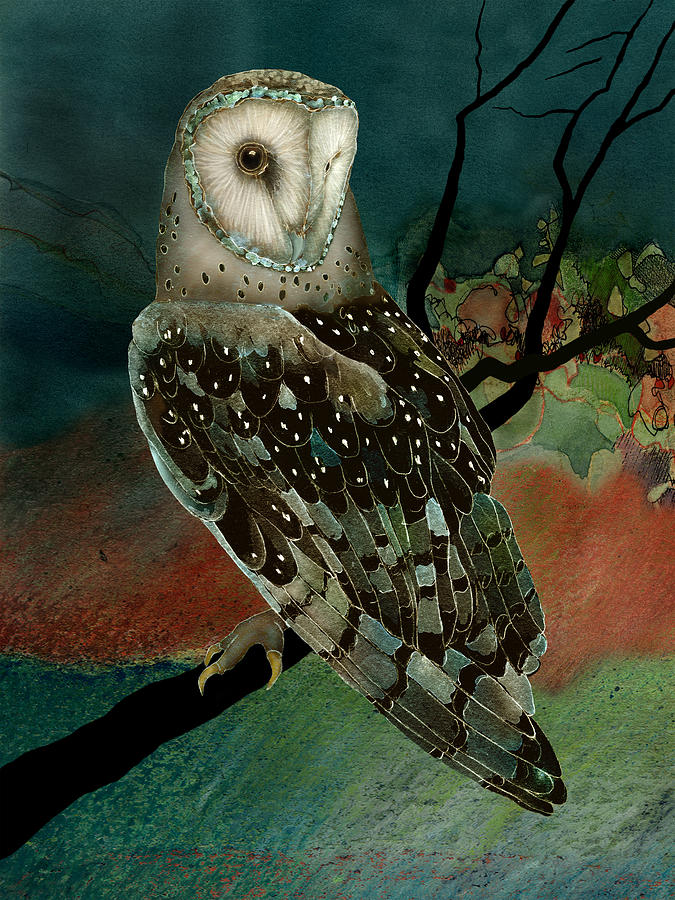 Barn Owl 2 Painting By Jeannine Chappell