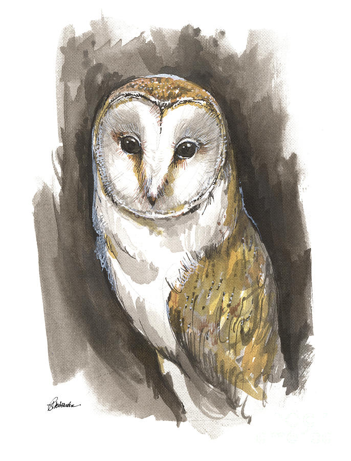 Barn owl 2018 05 26 Painting by Ang El