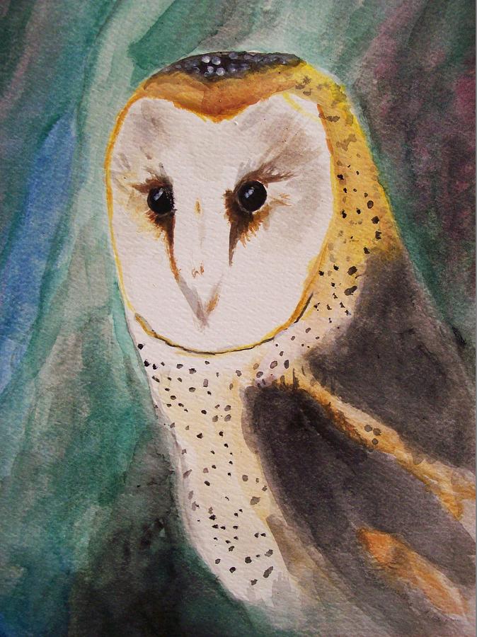 Animal Painting - Barn Owl by Amber Stanford