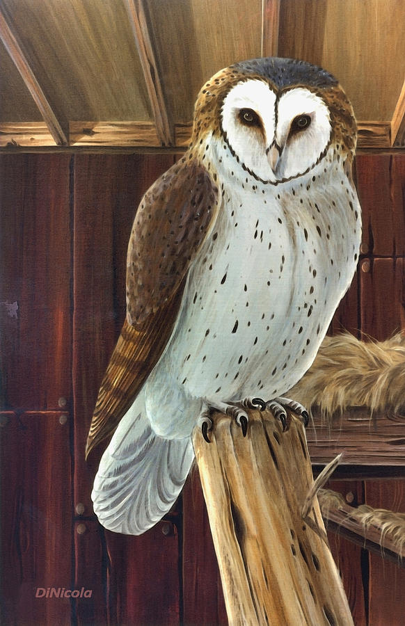 Barn Owl Painting by Anthony DiNicola