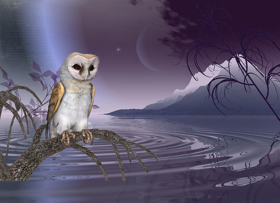 Barn Owl by the lake Digital Art by John Junek