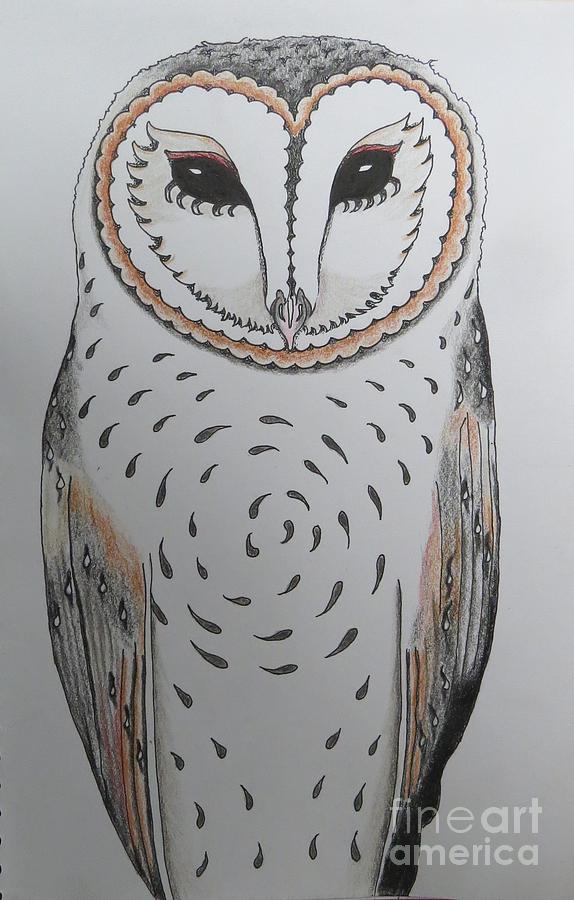 Barn Owl - Centre In Drawing by Evie Hanlon