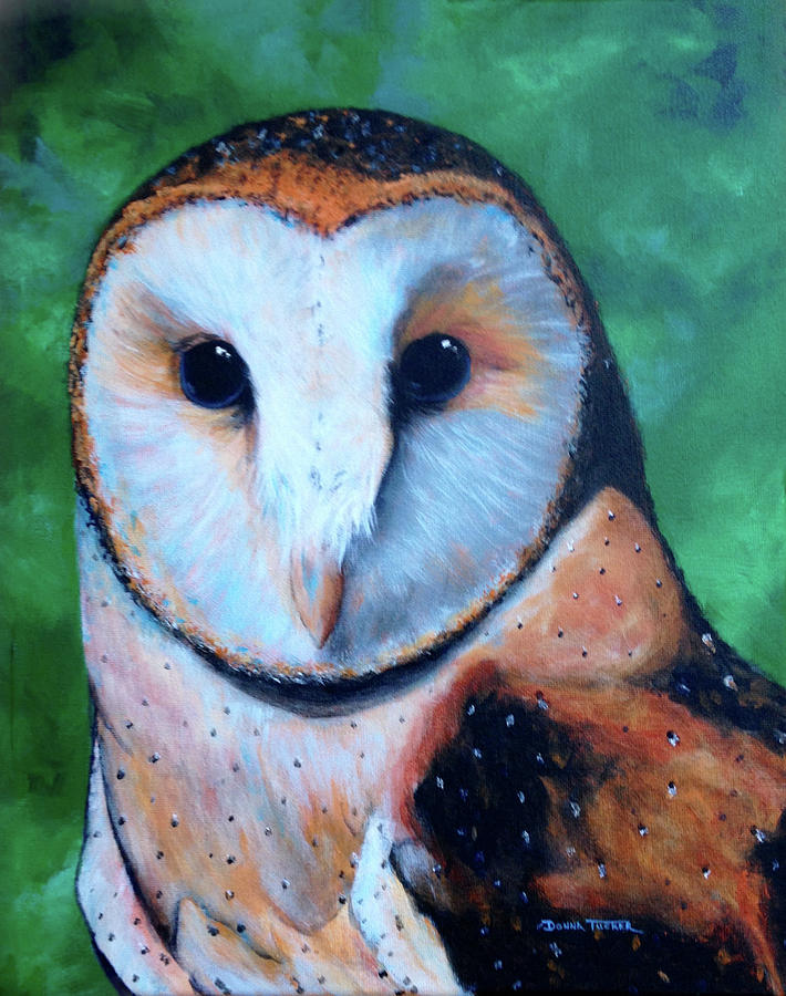 Barn Owl Painting by Donna Tucker