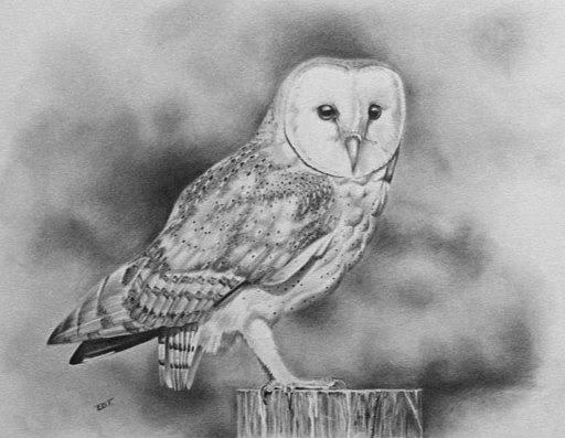 Hyperrealistic pencil drawing of an owl on Craiyon