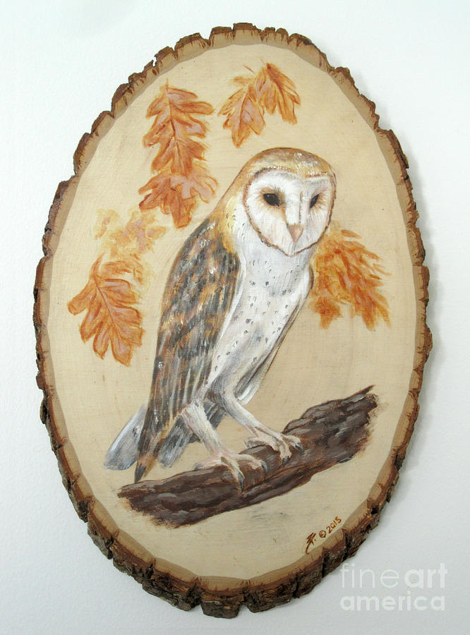 Barn Owl - Enduring Insight Painting by Brandy Woods