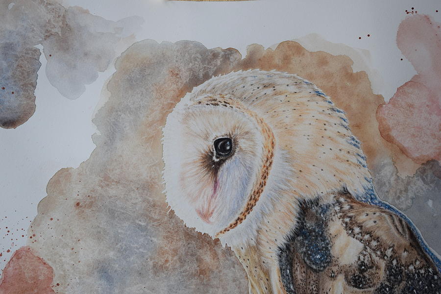 Owl Drawing - Barn Owl by Eveline Van Dooren